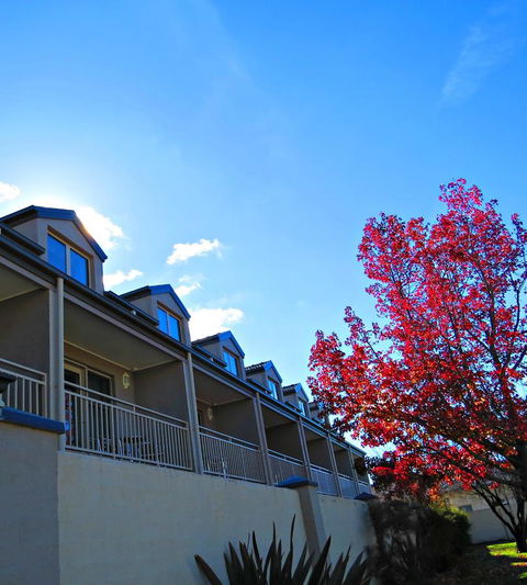 Best Western Plus Goulburn - Accommodation Brunswick Heads 9
