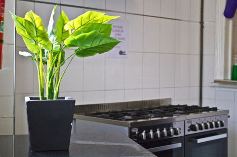 Mad Monkey Kings Cross - Accommodation Brunswick Heads 19