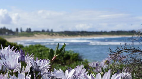 Blue Lagoon Beach Resort - Accommodation Brunswick Heads 18