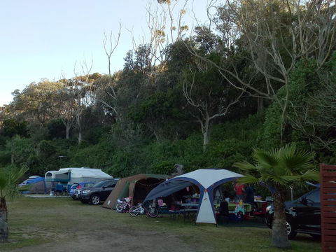 Blue Lagoon Beach Resort - Accommodation Brunswick Heads 19