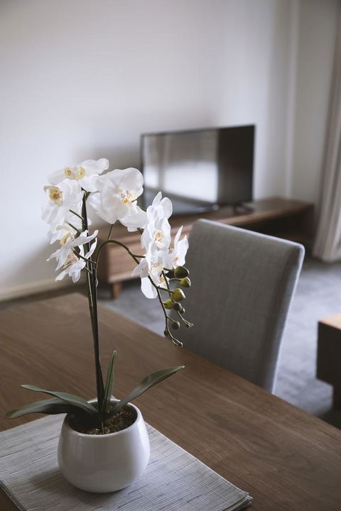 Quest Wagga Wagga - Accommodation Brunswick Heads 11