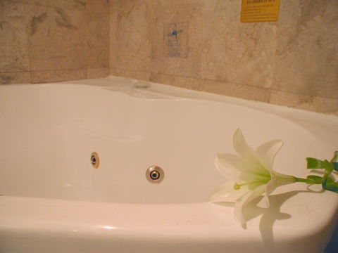Novotel Sydney Brighton Beach - Accommodation Brunswick Heads 11