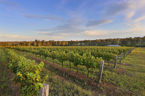 Ironstone Estate Lovedale - Accommodation Brunswick Heads 31