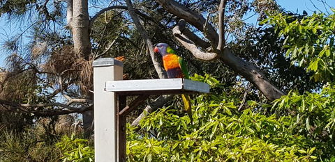 The Edgewater On Greville - Accommodation Brunswick Heads 15