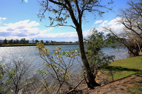 Terara Riverside Retreat - Accommodation Brunswick Heads 27