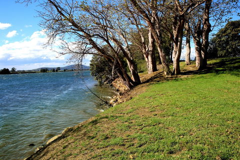 Terara Riverside Retreat - Accommodation Brunswick Heads 32