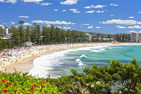 Oversized 2 Bedroom Manly Beach House - Accommodation Brunswick Heads 12