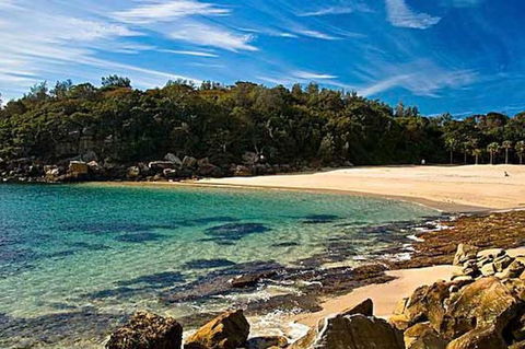 Oversized 2 Bedroom Manly Beach House - Accommodation Brunswick Heads 10