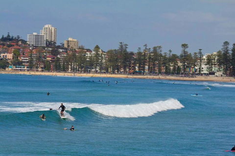 Oversized 2 Bedroom Manly Beach House - Accommodation Brunswick Heads 13