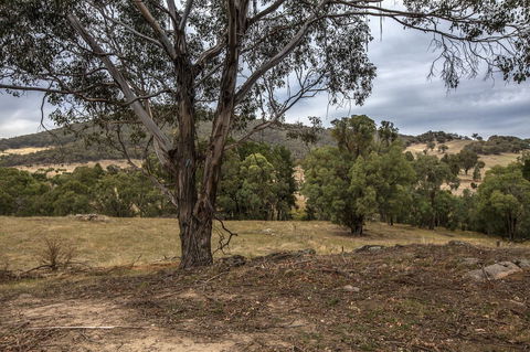 Pound Creek Gallery - Accommodation Brunswick Heads 29