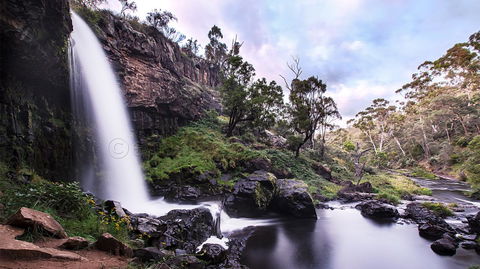 Pound Creek Gallery - Accommodation Brunswick Heads 14