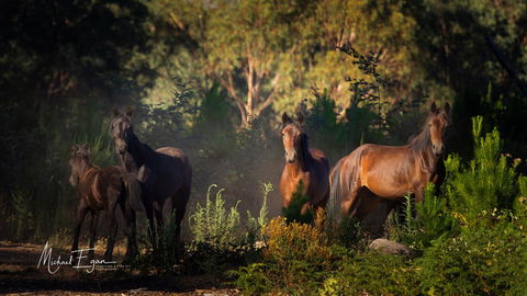 Pound Creek Gallery - Accommodation Brunswick Heads 18