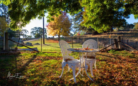 Pound Creek Gallery - Accommodation Brunswick Heads 27