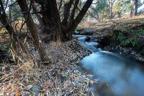 Pound Creek Gallery - Accommodation Brunswick Heads 26