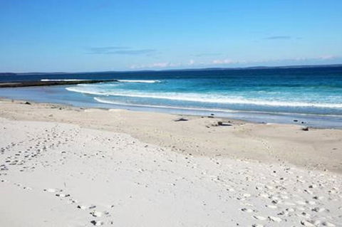 Jervis Bay Beach Shack I Pet Friendly - Accommodation Brunswick Heads 16