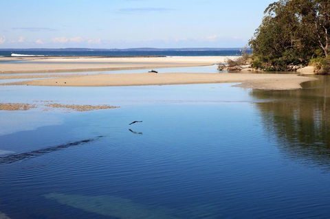 Jervis Bay Beach Shack I Pet Friendly - Accommodation Brunswick Heads 19