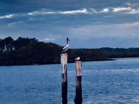 Boathouse Resort (Water Front) - Accommodation Brunswick Heads 15