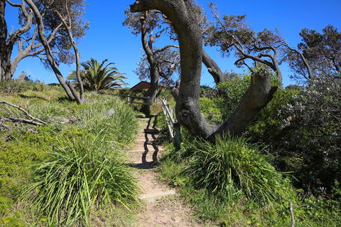 Abode @ Culburra - Pet Friendly - 4 Mins To Beach - Accommodation Brunswick Heads 25