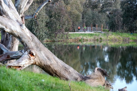 Mercure Albury - Accommodation Brunswick Heads 15