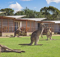 Discovery Parks  Pambula Beach - Accommodation Brunswick Heads