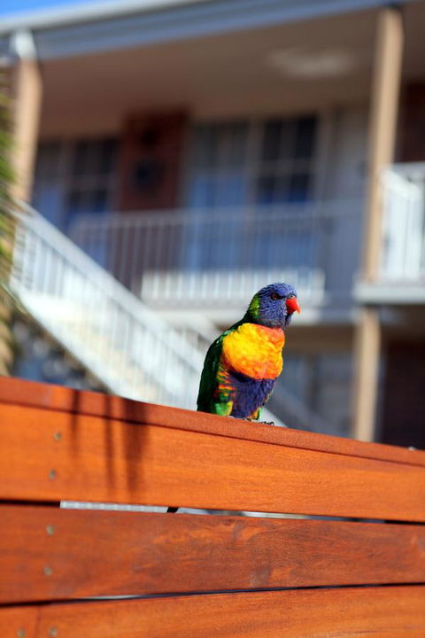 Summerhill Motor Inn - Accommodation Brunswick Heads 30