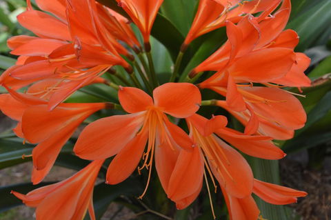JE Guesthouse, Central To All The Hunter Valley Has To Offer - Accommodation Brunswick Heads 39