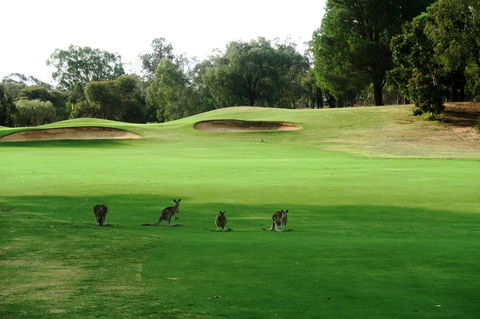 Mulwala Resort - Accommodation Brunswick Heads 40
