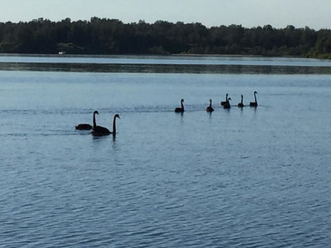 Swan Bay Hideaway - Accommodation Brunswick Heads 7