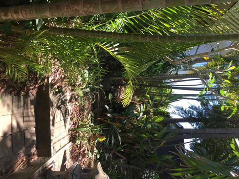 Swan Bay Hideaway - Accommodation Brunswick Heads 9