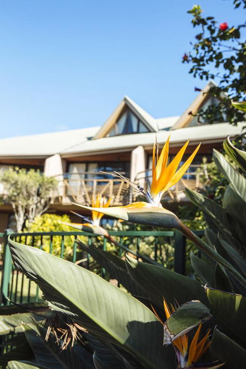 Beach Hotel Resort - Accommodation Brunswick Heads 36