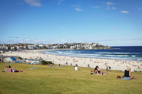 BONDI BEACH PRIME 1 Bedroom + Sunroom - Accommodation Brunswick Heads 11