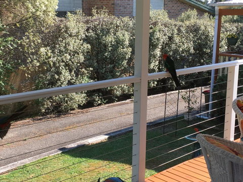 The Best Exotic Magnolia Cottage - Accommodation Brunswick Heads 15