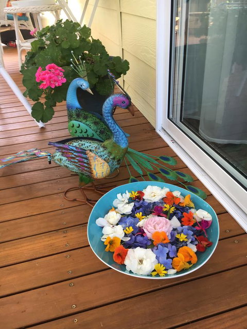 The Best Exotic Magnolia Cottage - Accommodation Brunswick Heads 8