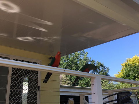 The Best Exotic Magnolia Cottage - Accommodation Brunswick Heads 11