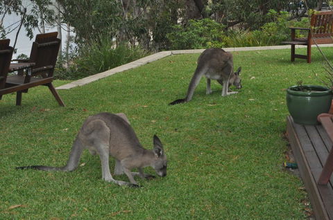 By The Beach B&B Self Contained Apartments - Accommodation Brunswick Heads 28