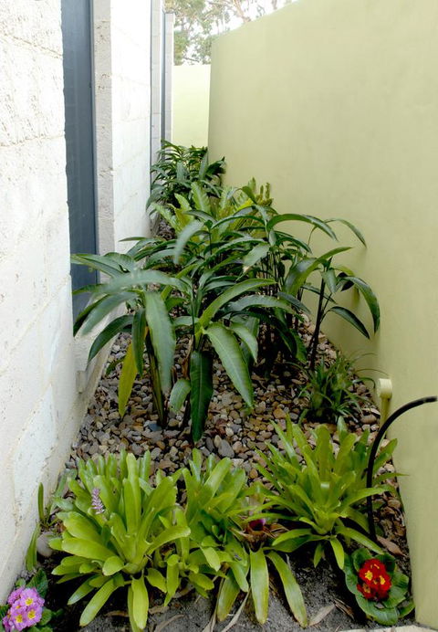 By The Beach B&B Self Contained Apartments - Accommodation Brunswick Heads 24