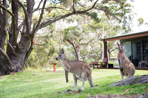 By The Beach B&B Self Contained Apartments - Accommodation Brunswick Heads 17