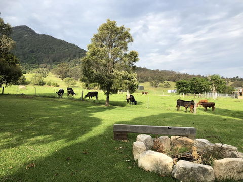 Arcadia - The Barn Cottage & Rosehill Cottage - Accommodation Brunswick Heads 29