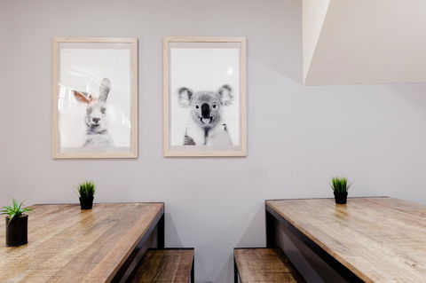 Mad Monkey Broadway - Accommodation Brunswick Heads 0