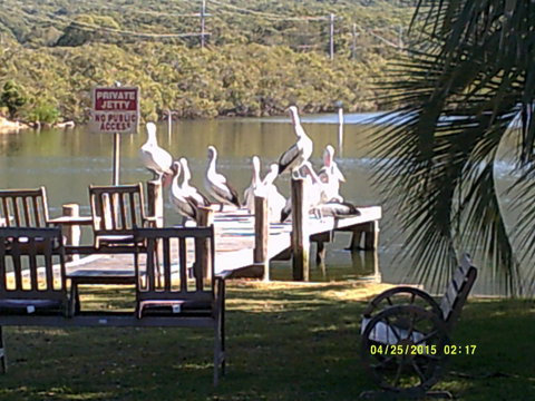Pelican H2O One & Two Bedroom Apartments - Accommodation Brunswick Heads 9
