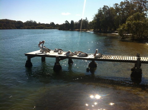 Pelican H2O One & Two Bedroom Apartments - Accommodation Brunswick Heads 5