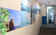 Little Coogee Hotel - thumb 5