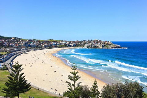 Right On Bondi - Accommodation Brunswick Heads 13