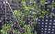 Bayswater Boutique Lodge - thumb 7