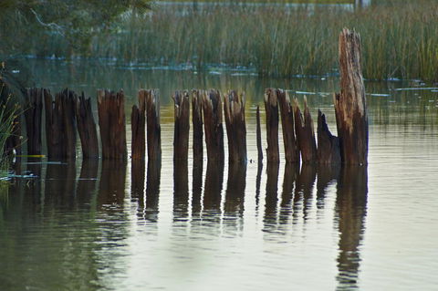 Estoy Cabarita - Accommodation Brunswick Heads 7