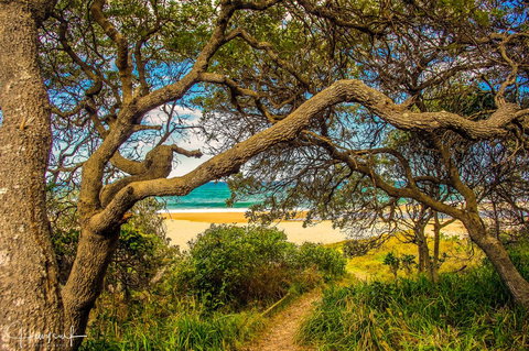 Valla's Beach House - Accommodation Brunswick Heads 2