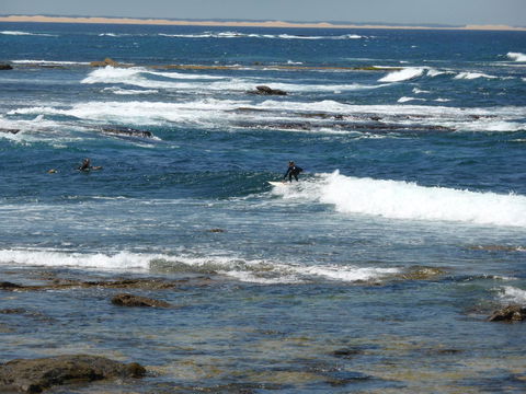 Arena Luxury Beachfront Apartment - Accommodation Brunswick Heads 26