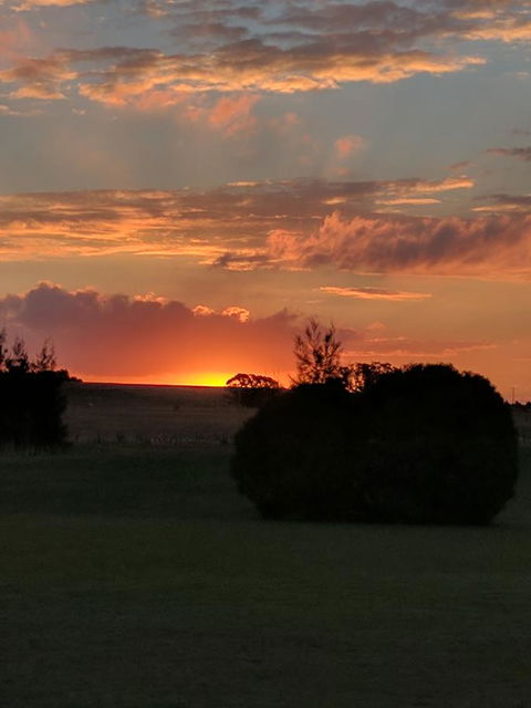 Madigan Wine Country Cottages - Accommodation Brunswick Heads 13
