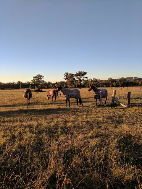 Madigan Wine Country Cottages - Accommodation Brunswick Heads 8