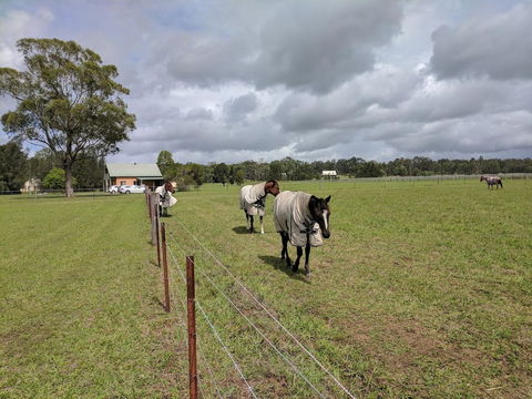 Madigan Wine Country Cottages - Accommodation Brunswick Heads 9